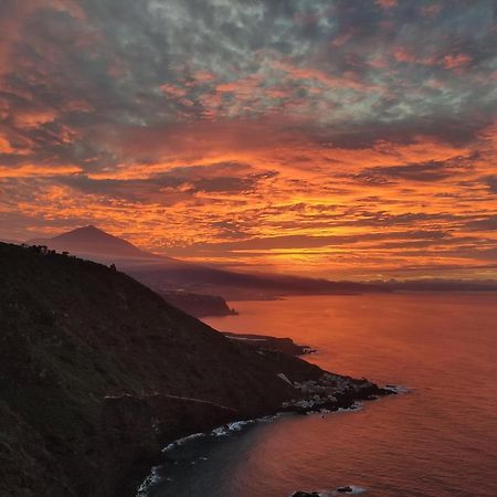 Best View Tenerife Vivienda Vacacional La Matanza De Acentejo Екстер'єр фото